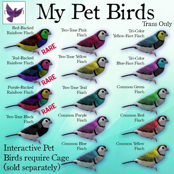 [ free bird ] My Pet Birds Ad